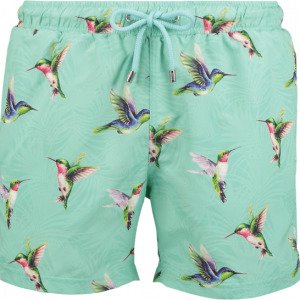 Panos Emporio Hummingbird Apollo Uimashortsit