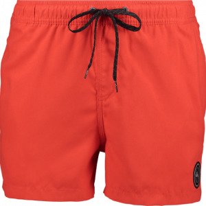 Quiksilver Everyday Volley 15 Uimashortsit