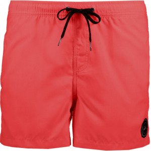 Quiksilver Everyday Volley 15 Uimashortsit