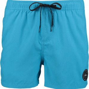 Quiksilver Everyday Volley 15 Uimashortsit