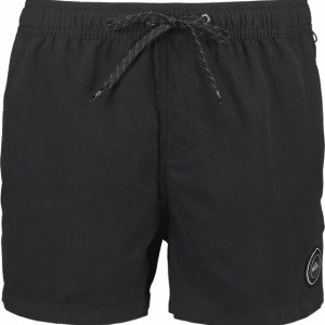 Quiksilver Everyday Volley 15 Uimashortsit