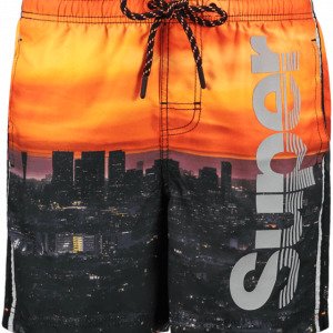 Superdry Photographic Volley Swim Short Uimashortsit