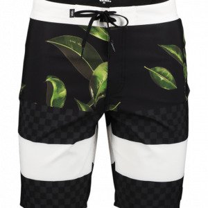 Vans Era Boardshort Uimashortsit